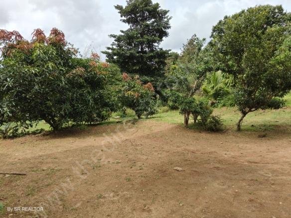 Land for sale Villa Resort Wayanad