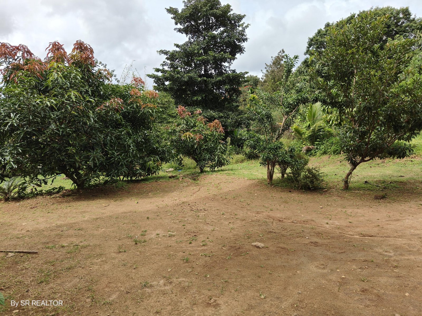 IMG20240906153209 Land for sale Villa Resort Wayanad