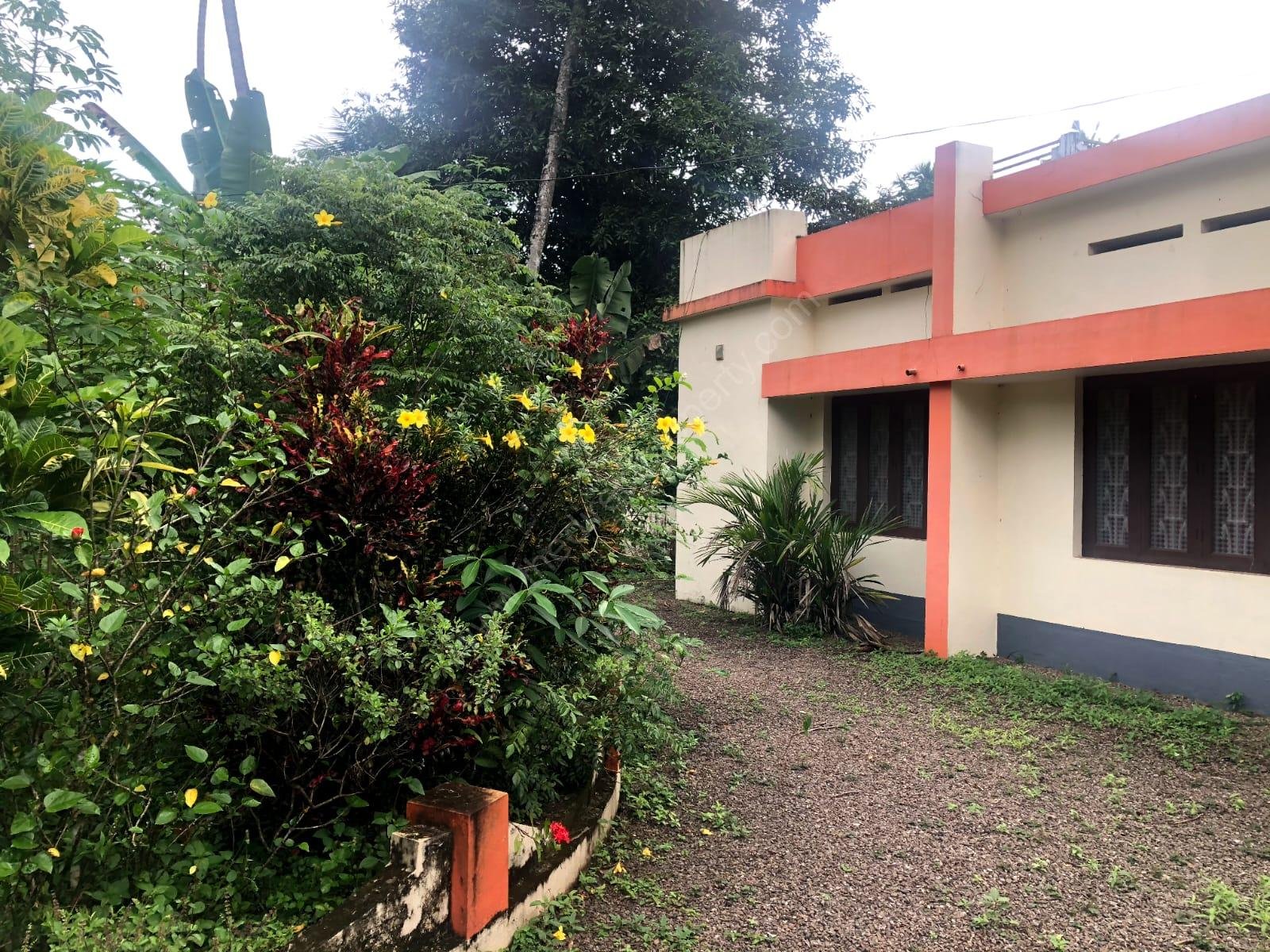 WhatsApp Image 2024-09-06 at 10.36.24 PM