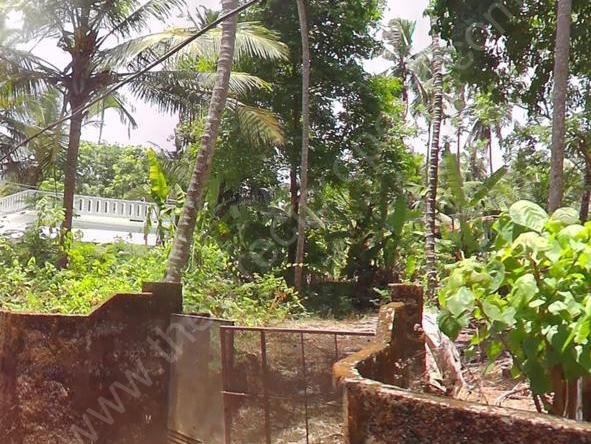 9 cent land for sale at Kannadikkal | Kozhikode