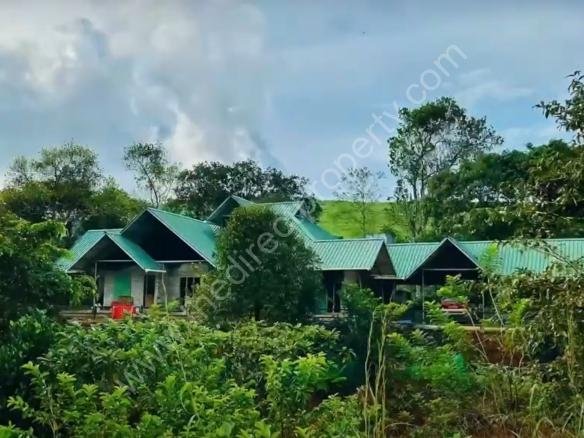 Estate come resort property for sale in Sathram, Thekkady
