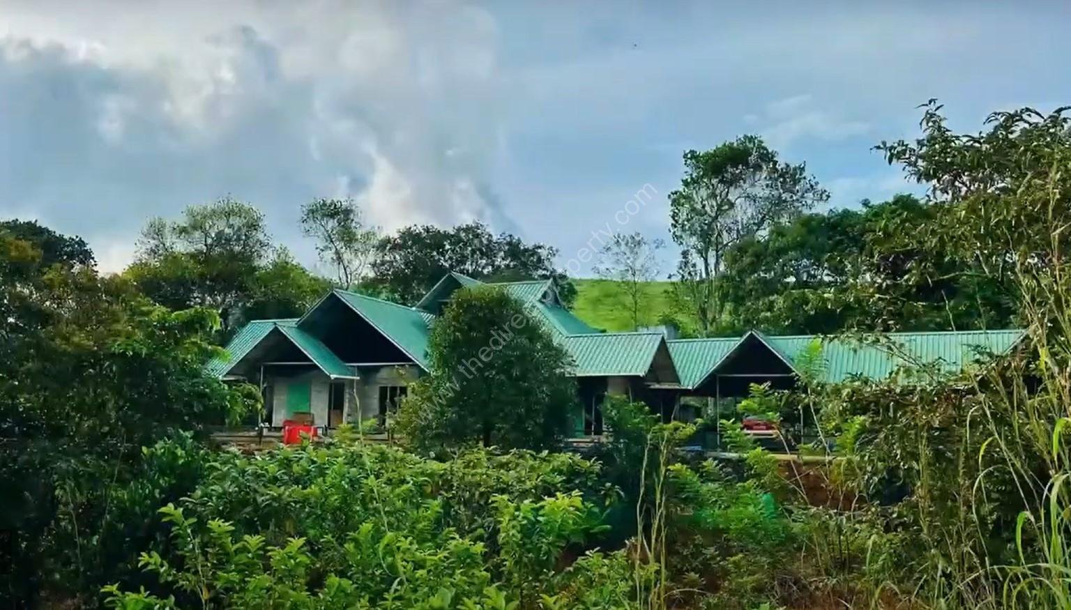 Screenshot 2024-10-24 131141 Estate come resort property for sale in Sathram, Thekkady