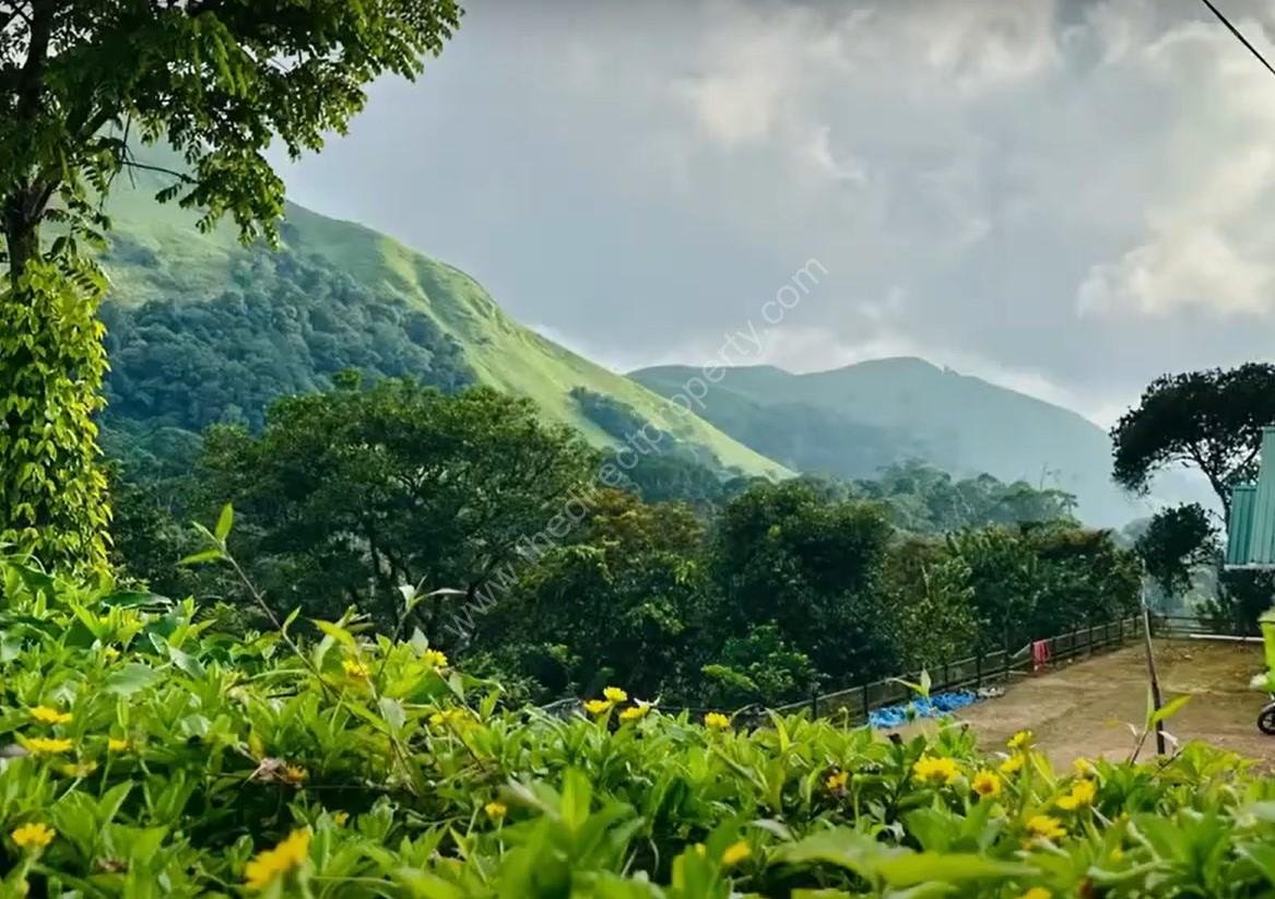 Screenshot 2024-10-24 131314