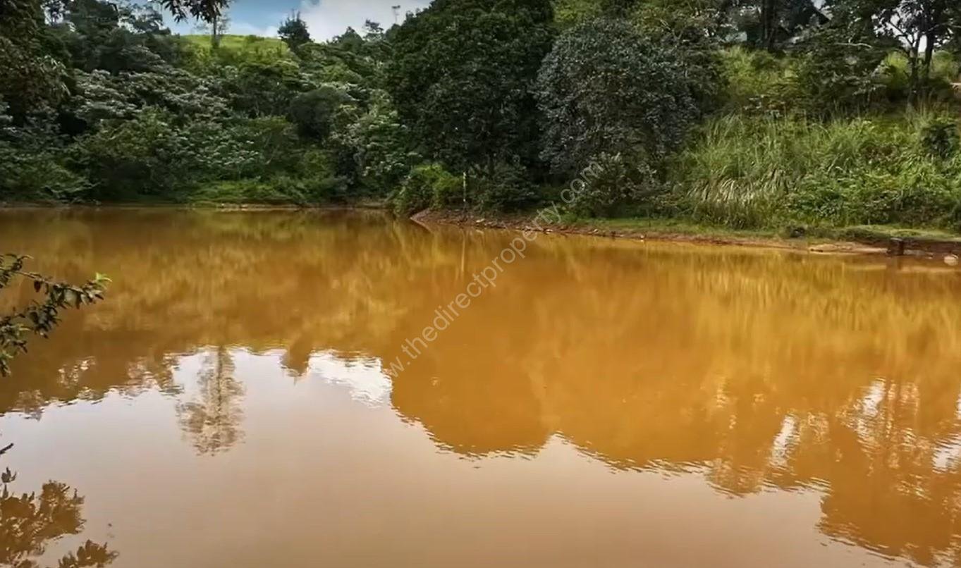 Screenshot 2024-10-24 131351