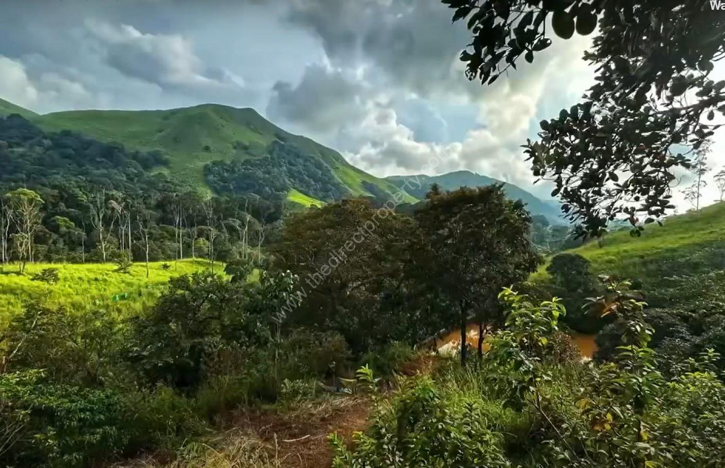 Screenshot 2024-10-24 131434