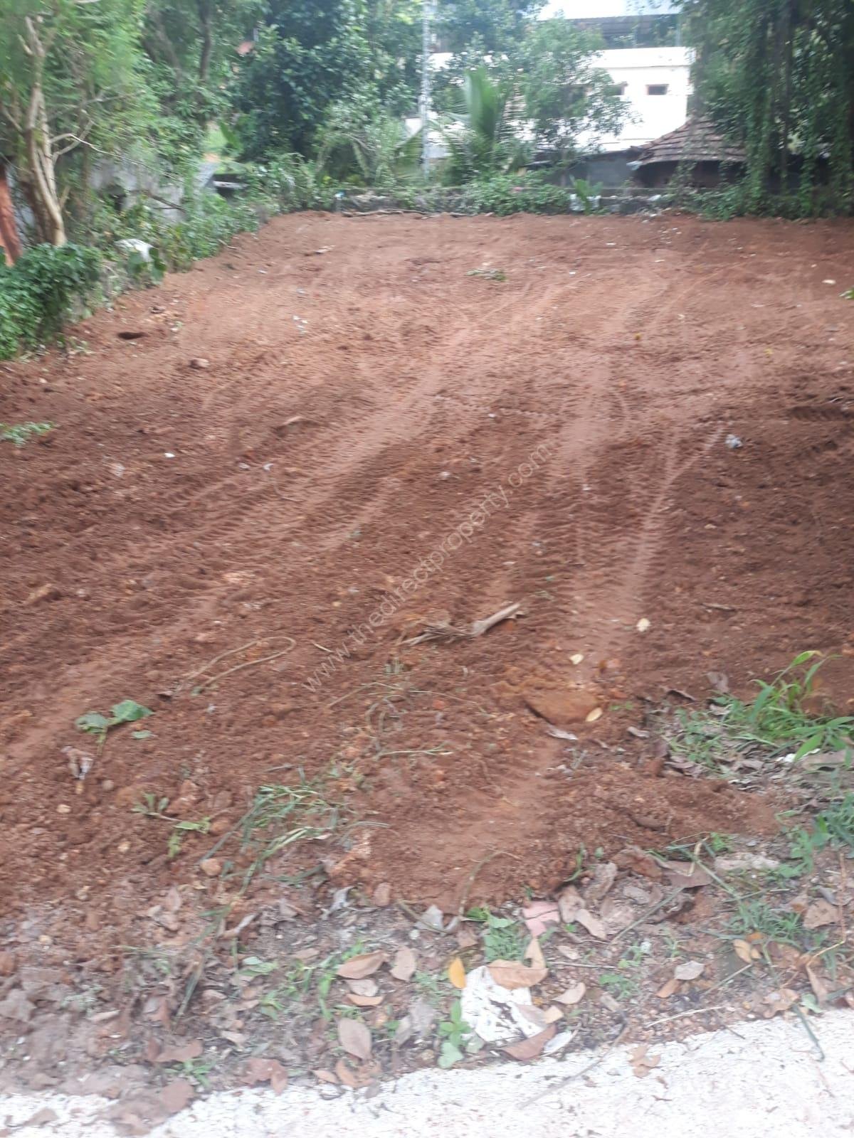 WhatsApp Image 2024-10-28 at 12.33.28_07197892