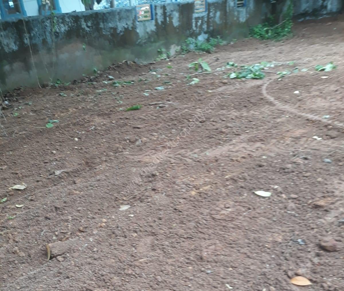 WhatsApp Image 2024-10-28 at 12.33.28_a1ebb921