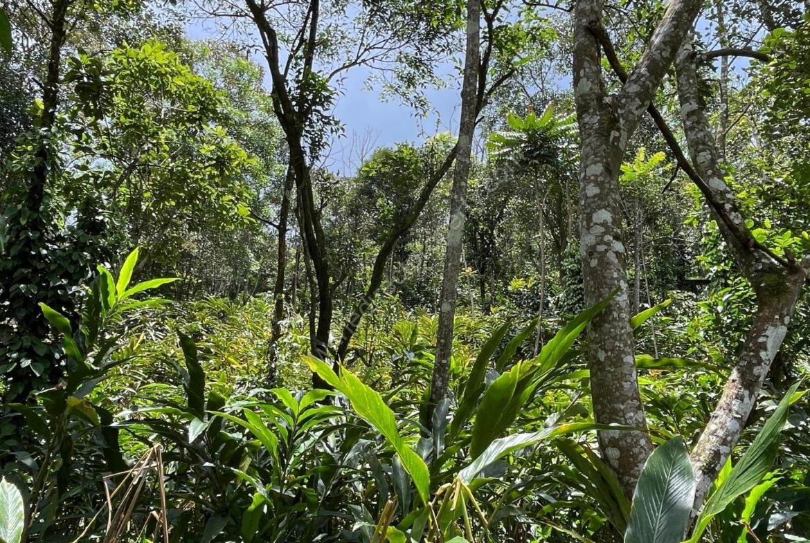 Property for sale in Vagamon