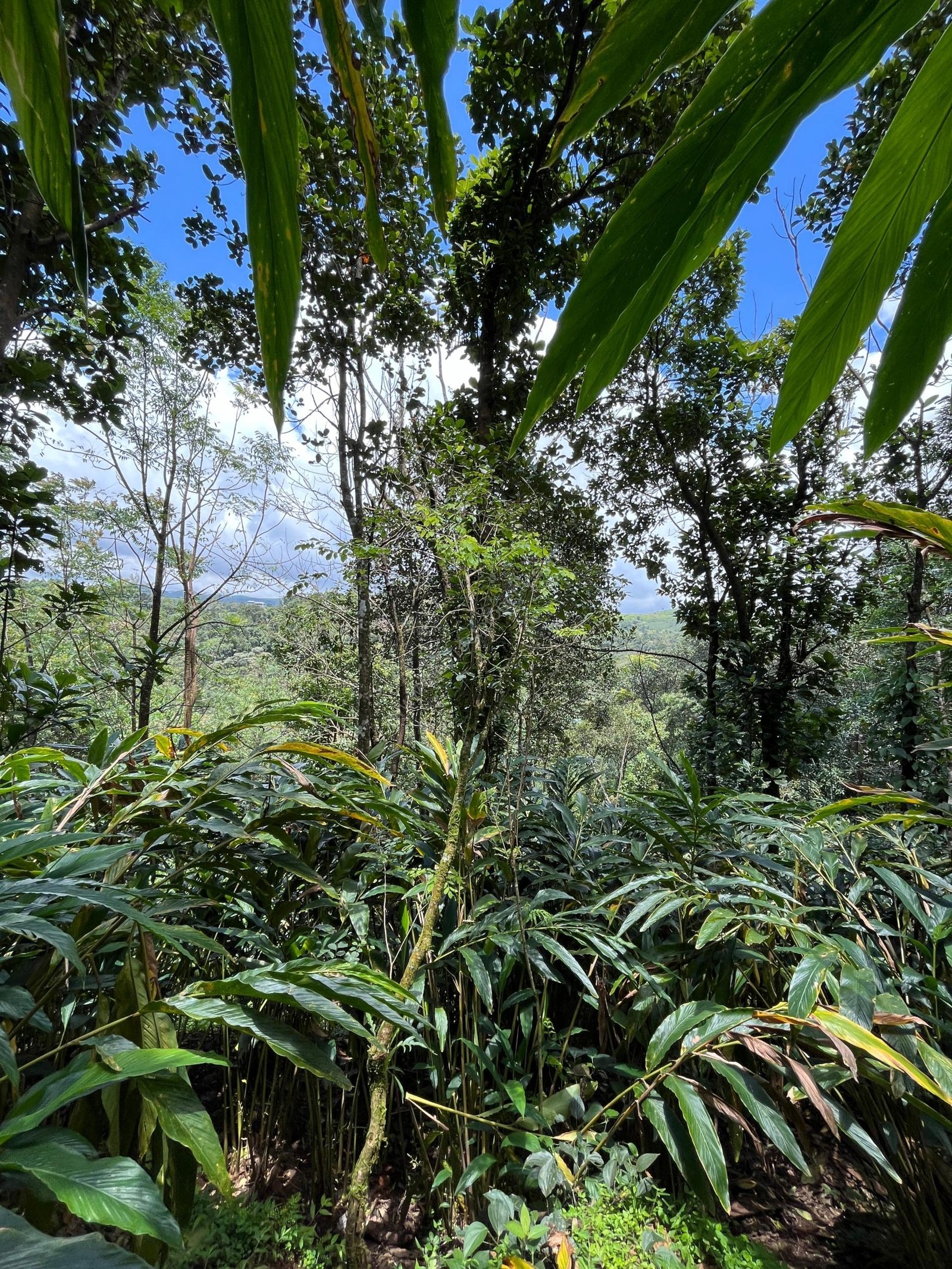 Property for sale in Vagamon