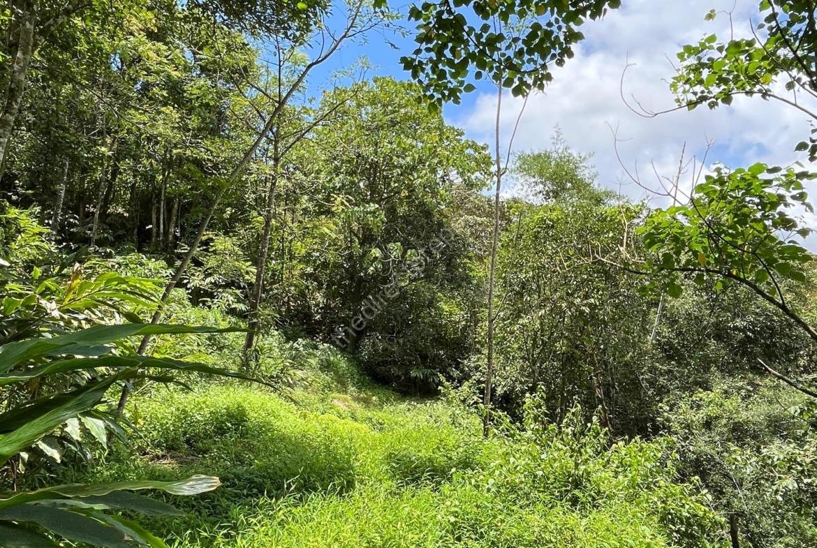 Property for sale in Vagamon