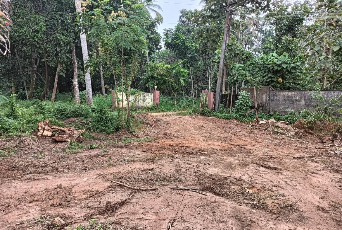 Lake view site land for sale | Kollam