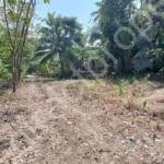 Riverside plots at Arpookara Kottayam