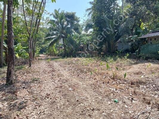 Riverside plots at Arpookara Kottayam