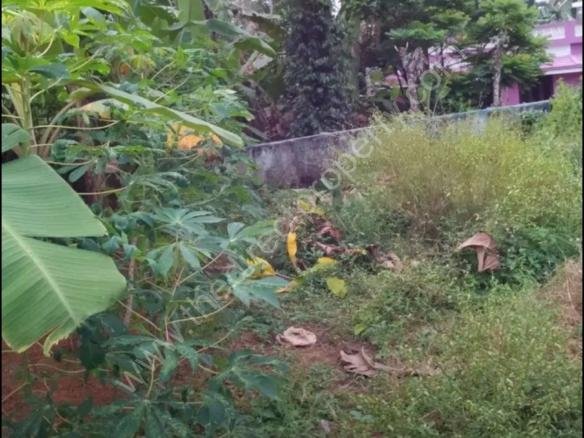 8 cent plot for sale Perambra Chalakudy