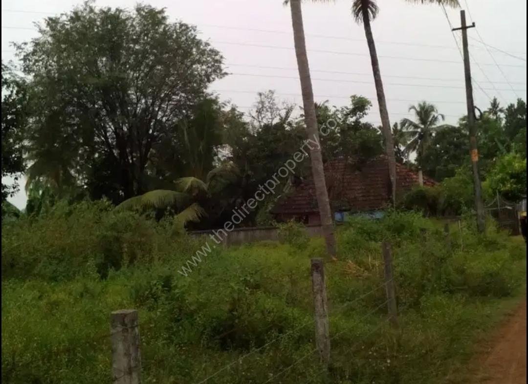 8 cent plot for sale Perambra Chalakudy