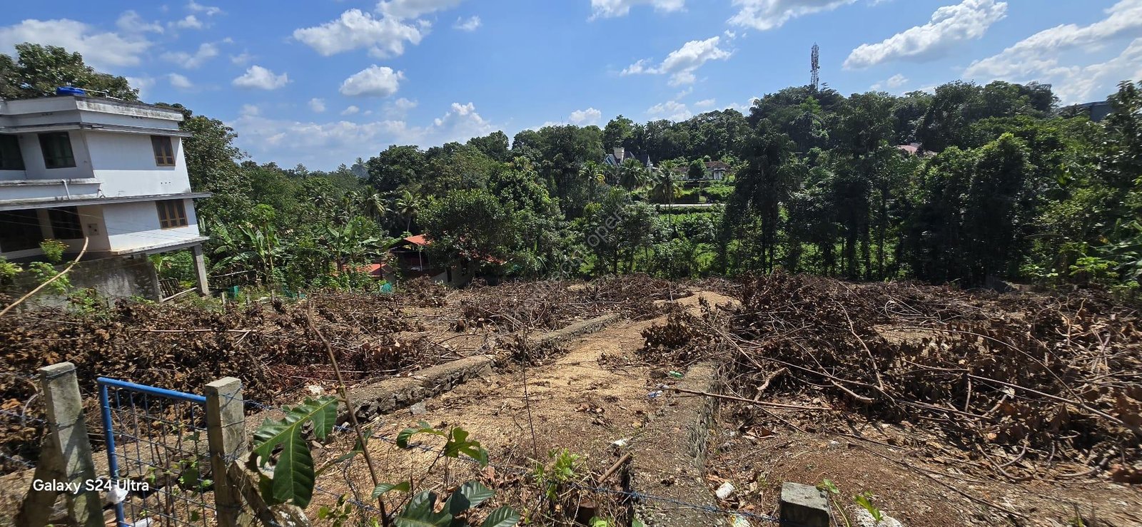 WhatsApp Image 2024-11-05 at 8.07.06 AM Anjilimoodu Junction, Alappuzha