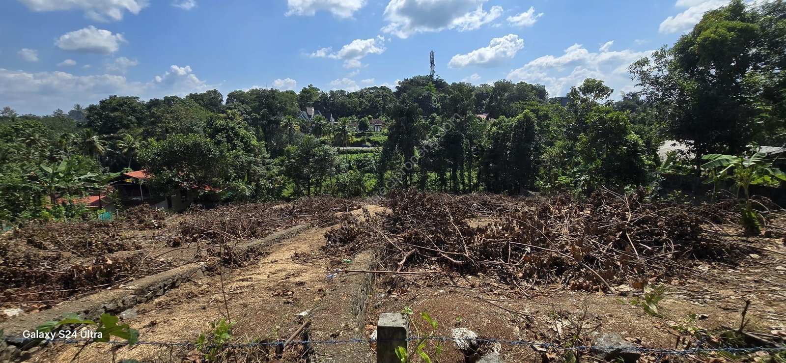 WhatsApp Image 2024-11-05 at 8.07.07 AM