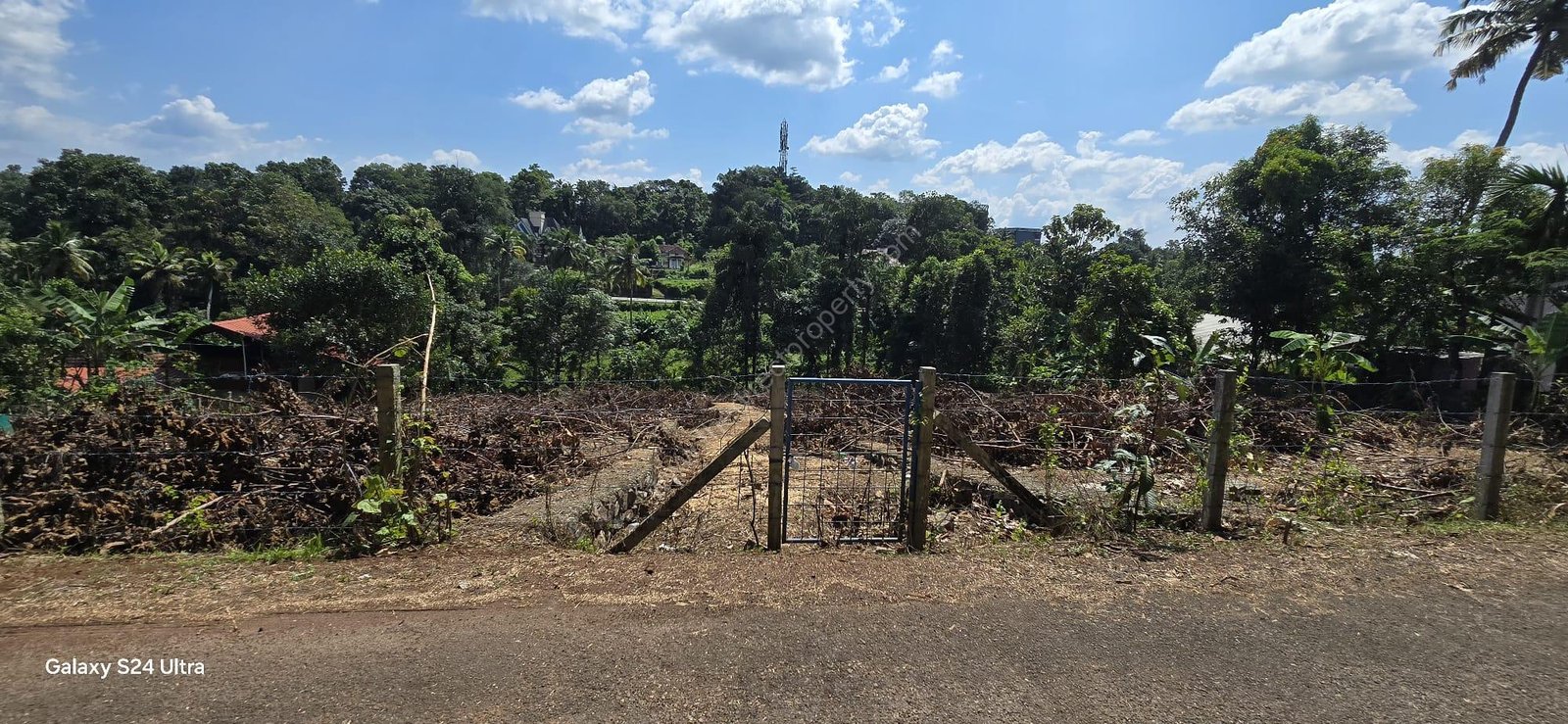 WhatsApp Image 2024-11-05 at 8.07.09 AM