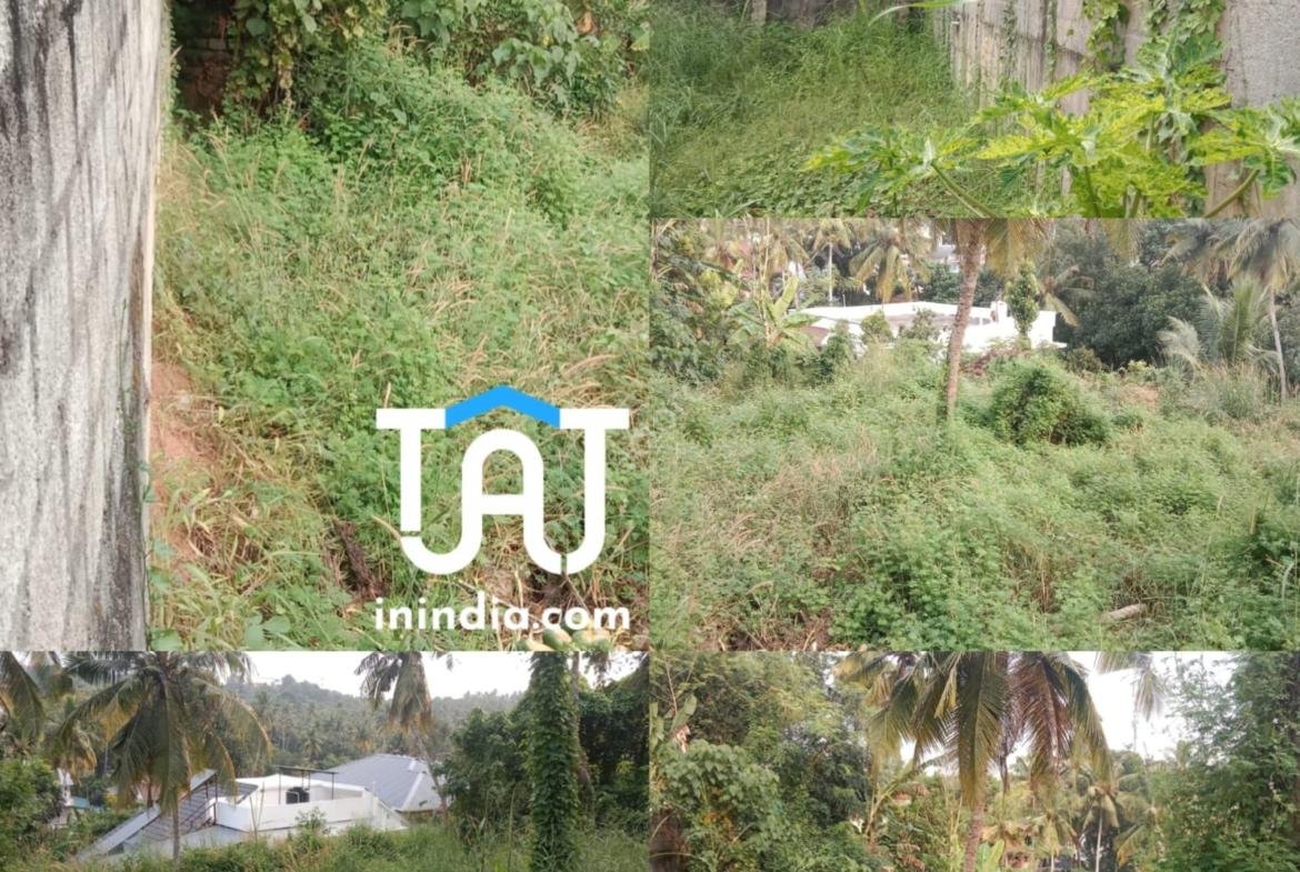21 cent Land For Sale @ Cheruvikkal