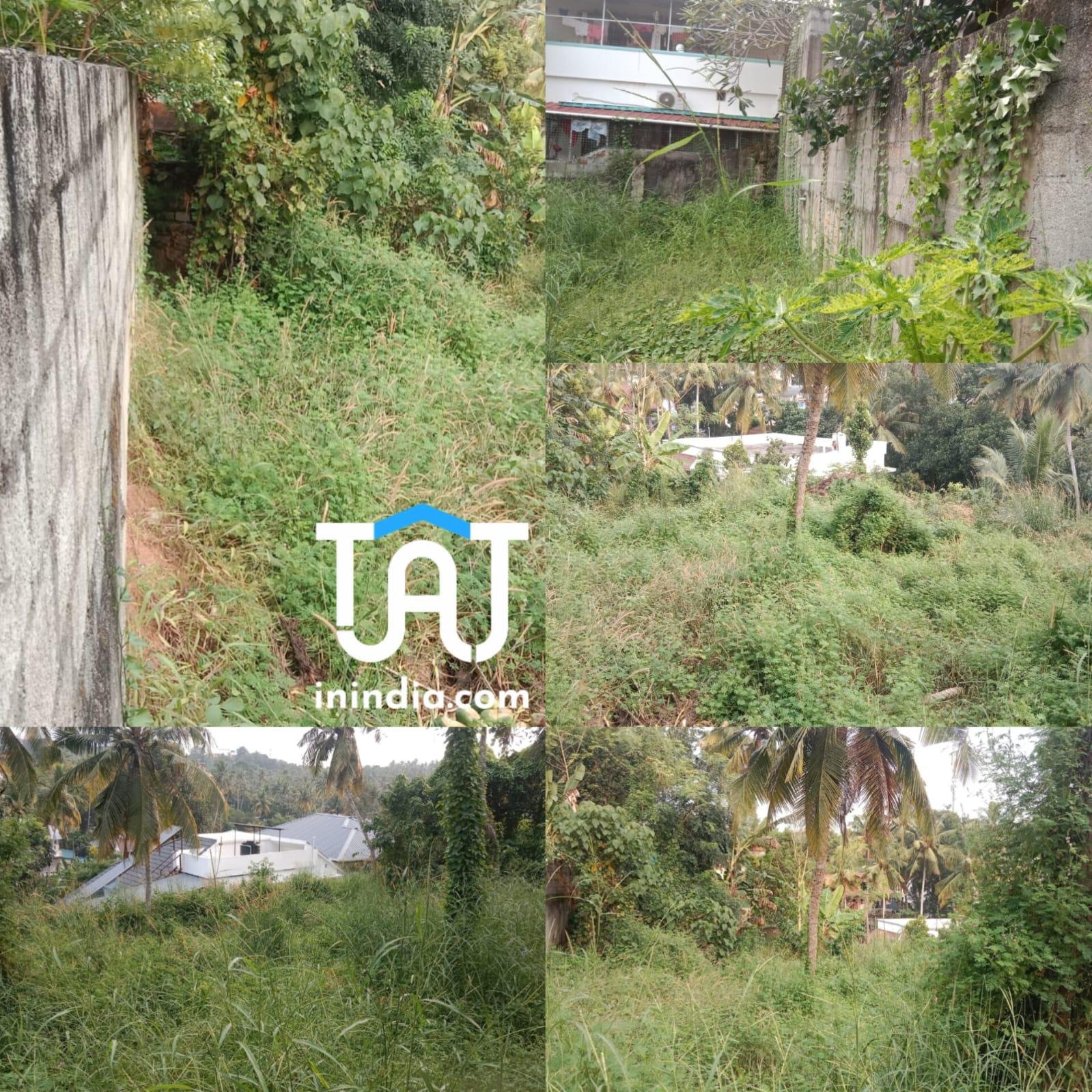 21 cent Land For Sale @ Cheruvikkal