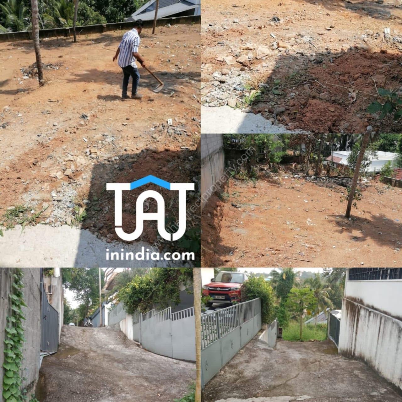 WhatsApp Image 2024-11-08 at 6.03.12 PM 21 cent Land For Sale @ Cheruvikkal