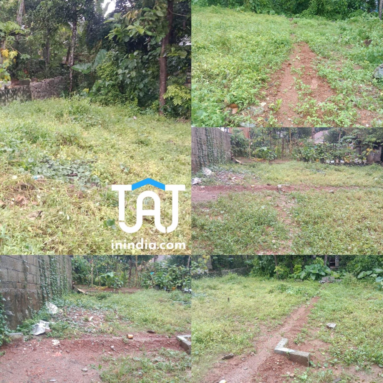 WhatsApp Image 2024-11-08 at 6.04.01 PM