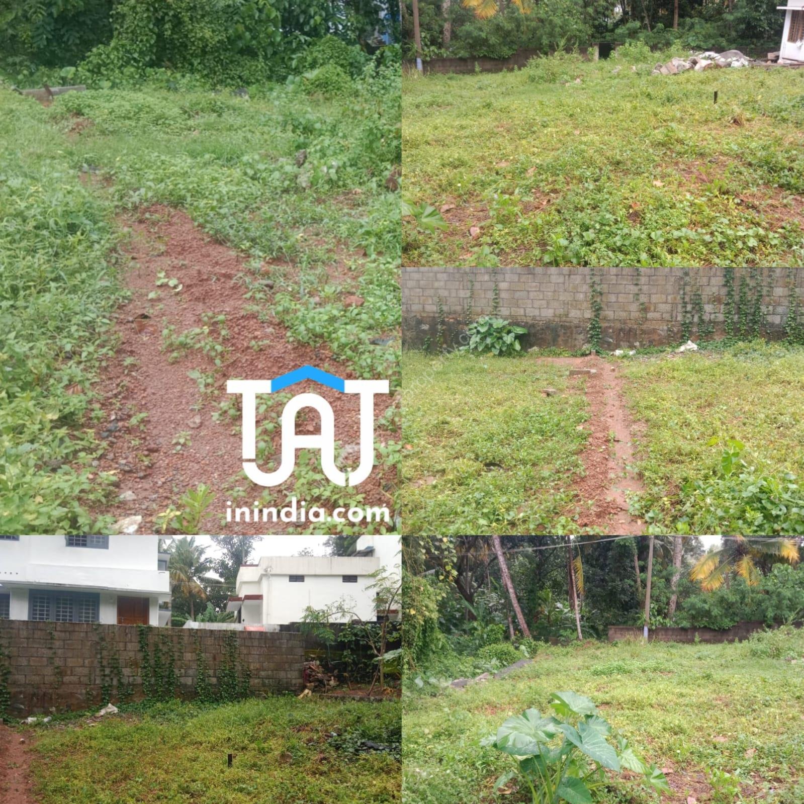 WhatsApp Image 2024-11-08 at 6.04.02 PM (1)