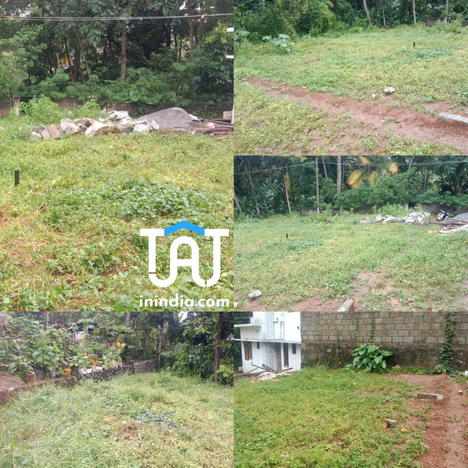 WhatsApp Image 2024-11-08 at 6.04.02 PM