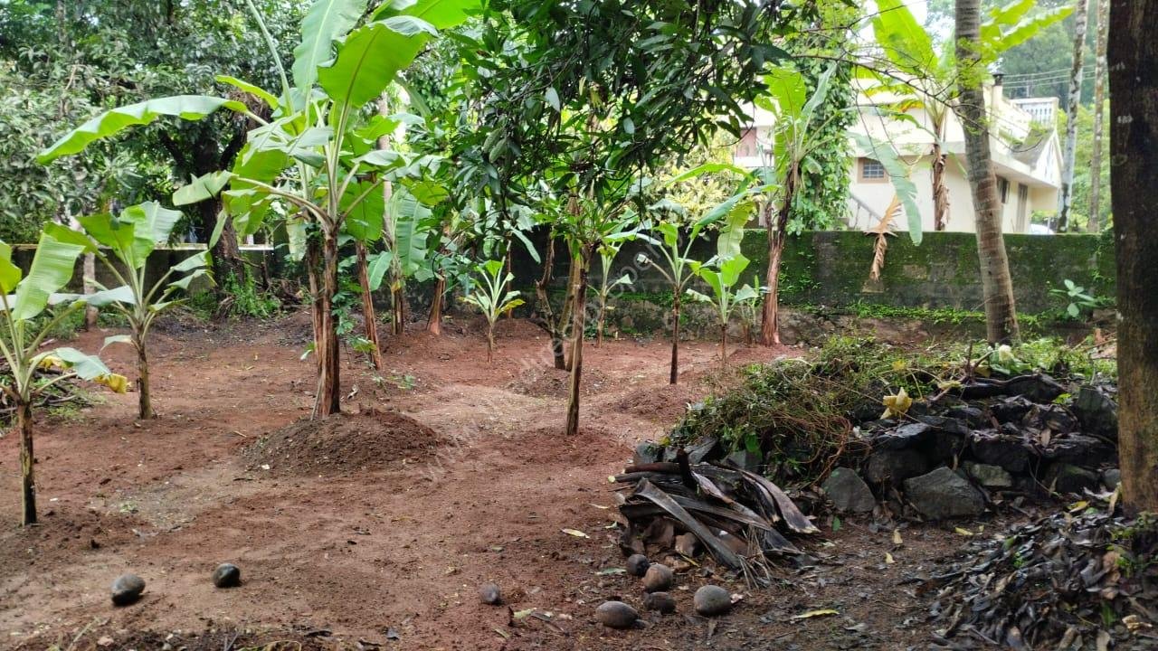 WhatsApp Image 2024-11-12 at 2.40.40 PM (1) Residential Land for Sale Urakam Thrissur