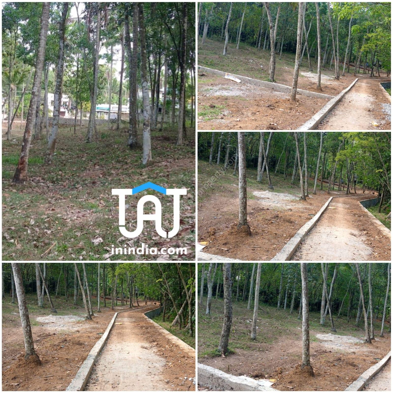 WhatsApp Image 2024-11-14 at 5.07.59 PM (1) Land For Sale @ Aryanadu