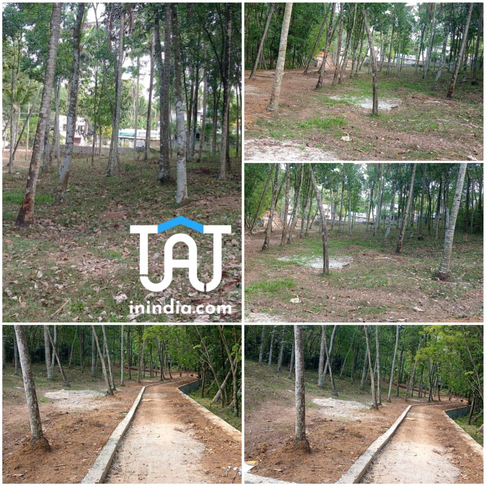 WhatsApp Image 2024-11-14 at 5.07.59 PM