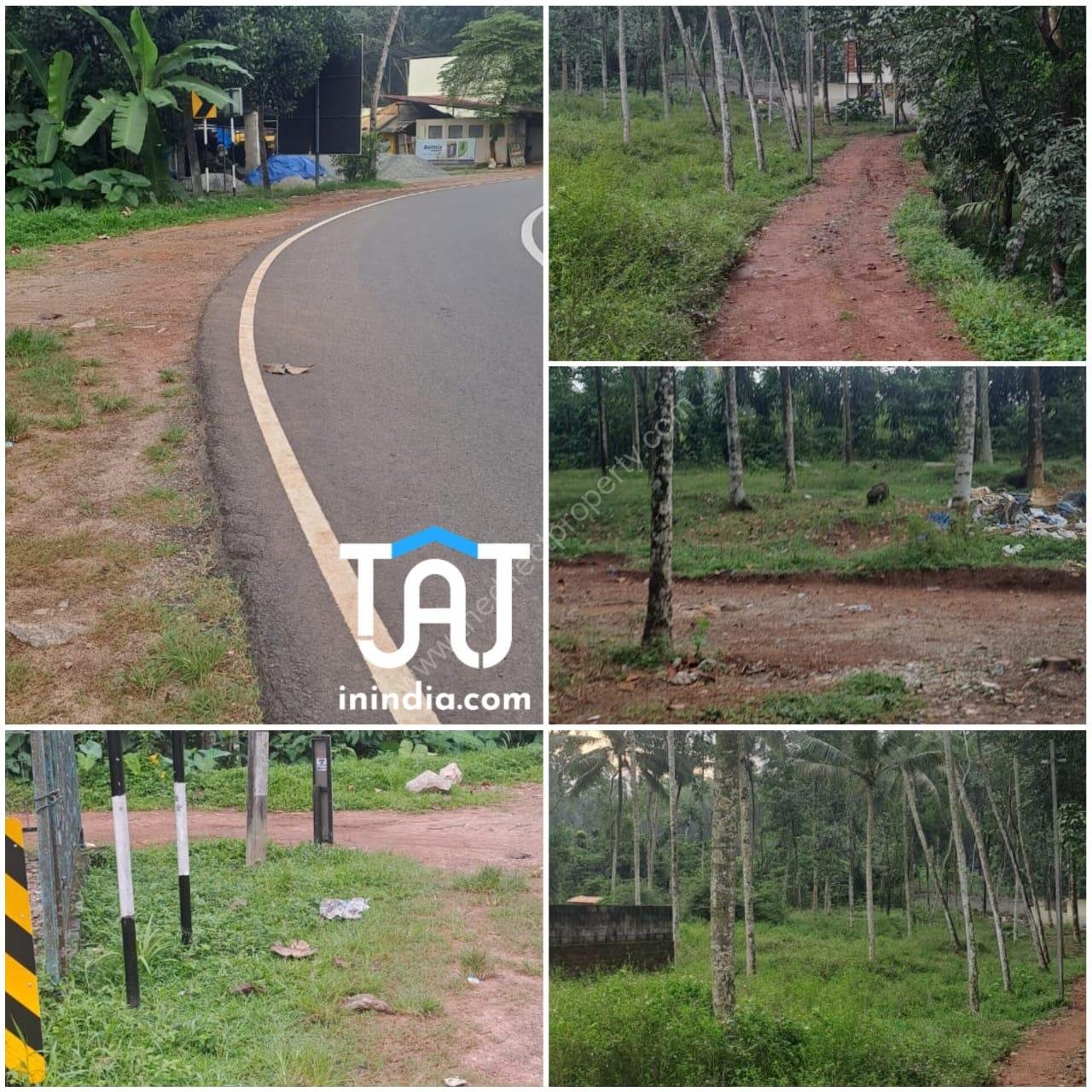 WhatsApp Image 2024-11-18 at 1.19.03 PM