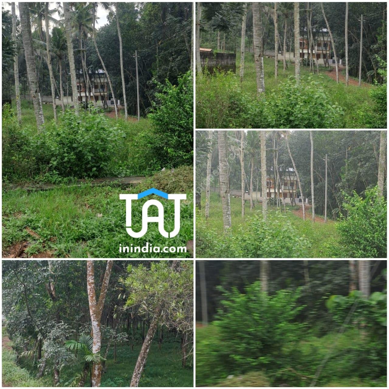 WhatsApp Image 2024-11-18 at 1.19.04 PM