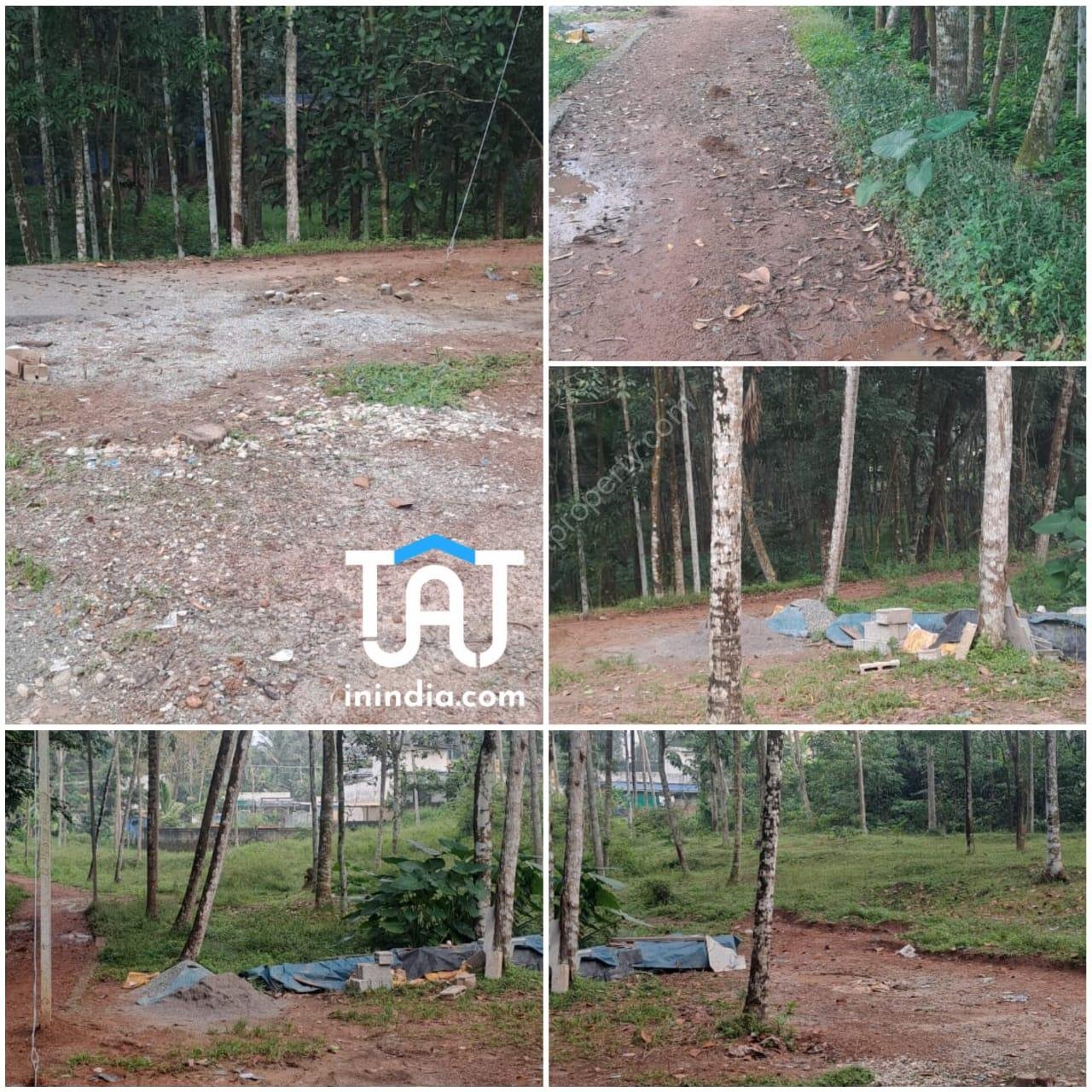 WhatsApp Image 2024-11-18 at 1.19.05 PM (1)