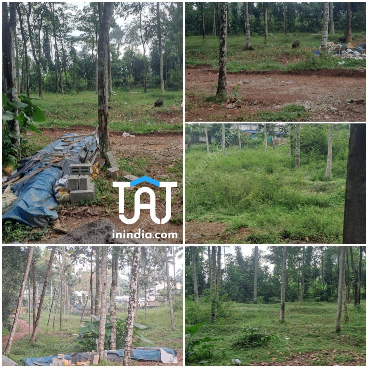 WhatsApp Image 2024-11-18 at 1.19.05 PM