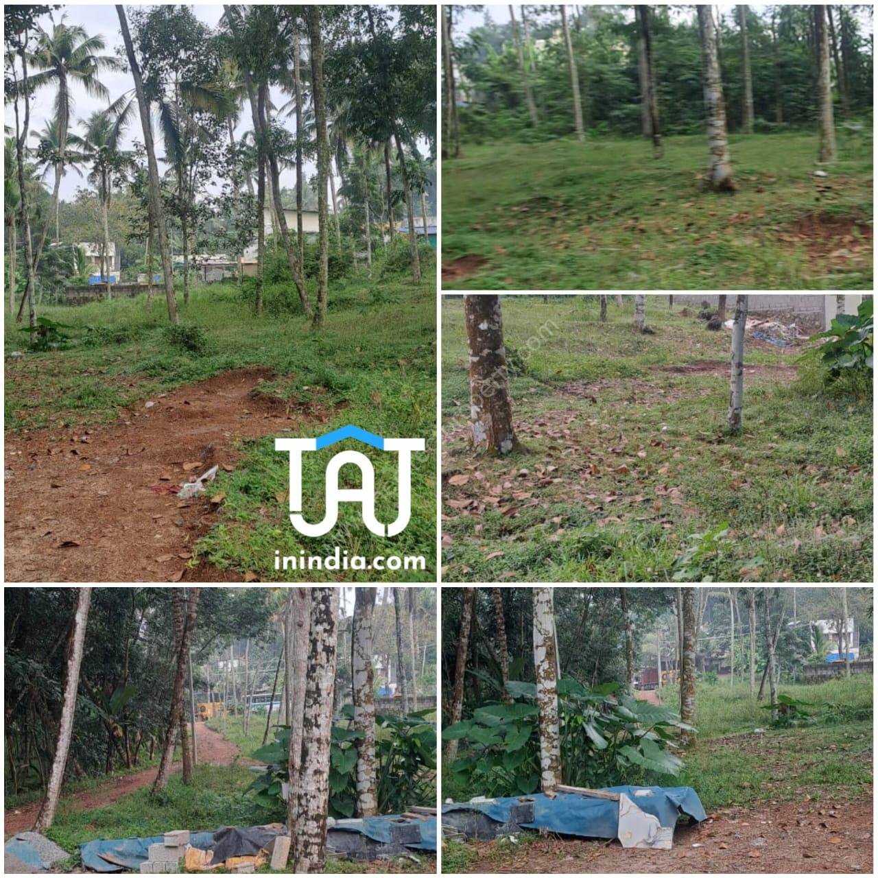 WhatsApp Image 2024-11-18 at 1.19.06 PM (1)