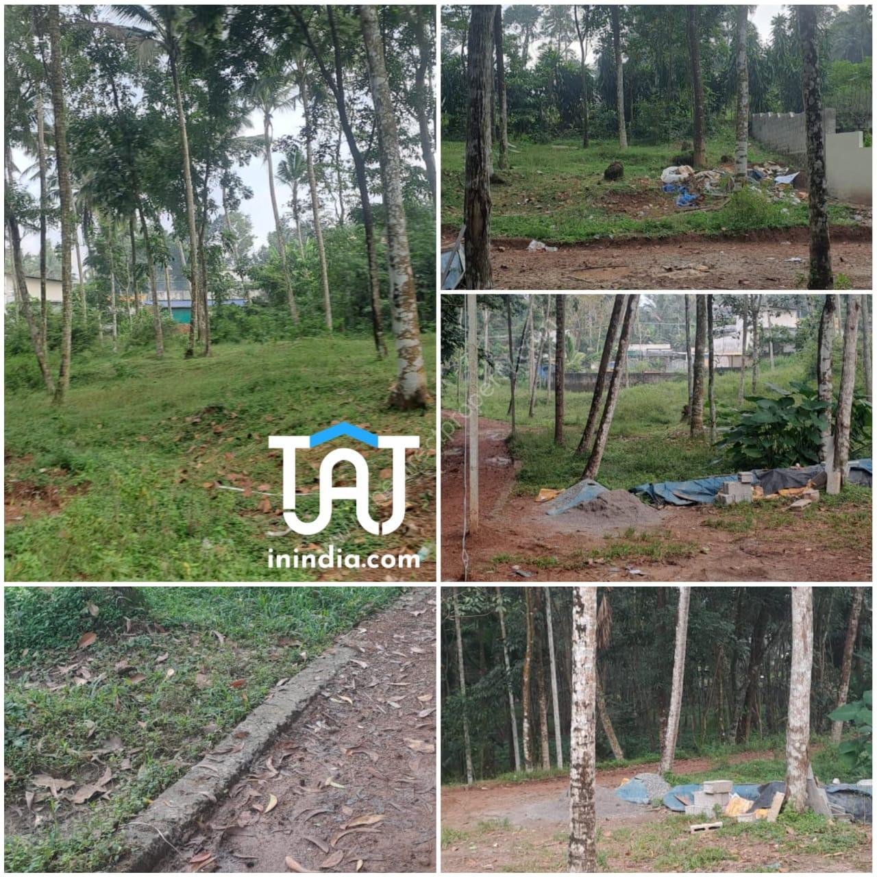 WhatsApp Image 2024-11-18 at 1.19.06 PM (2)