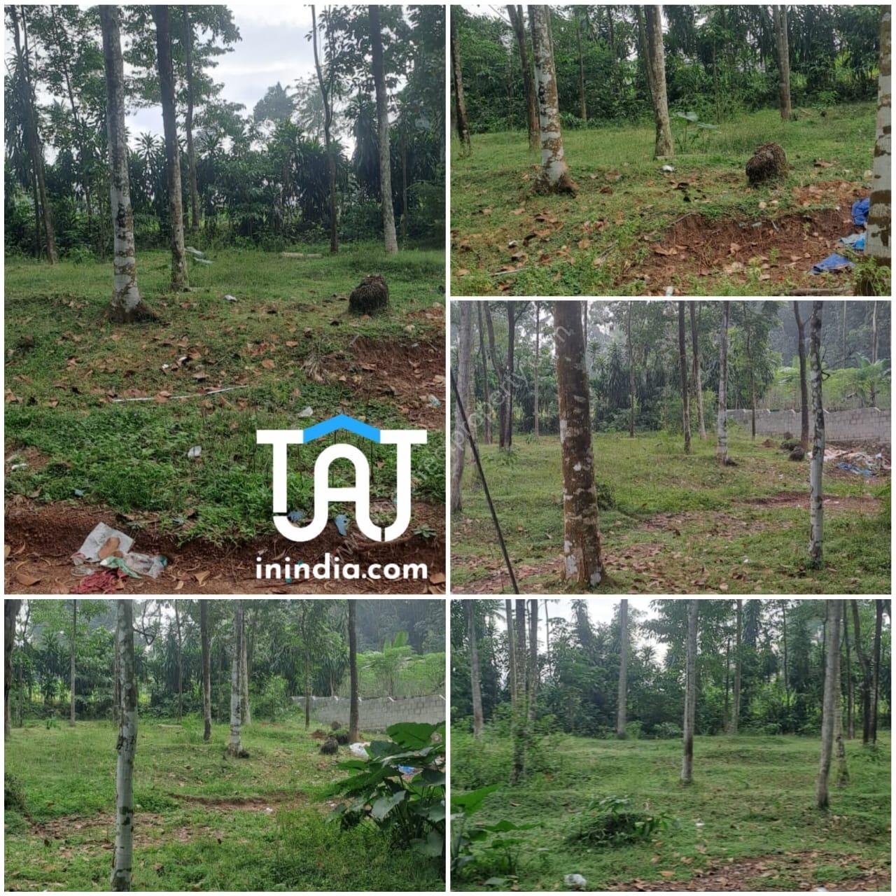 WhatsApp Image 2024-11-18 at 1.19.06 PM