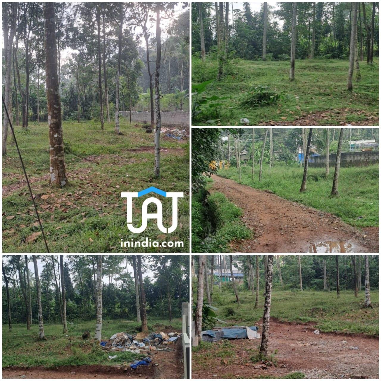 WhatsApp Image 2024-11-18 at 1.19.08 PM (1)