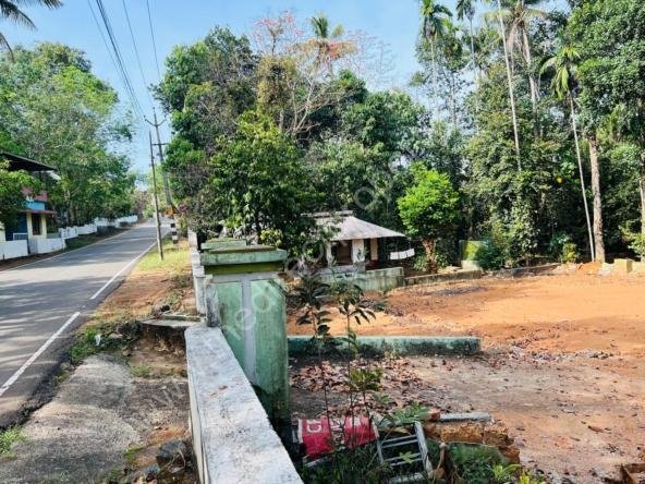 Land for sale Nechoor kadav road, Piravom