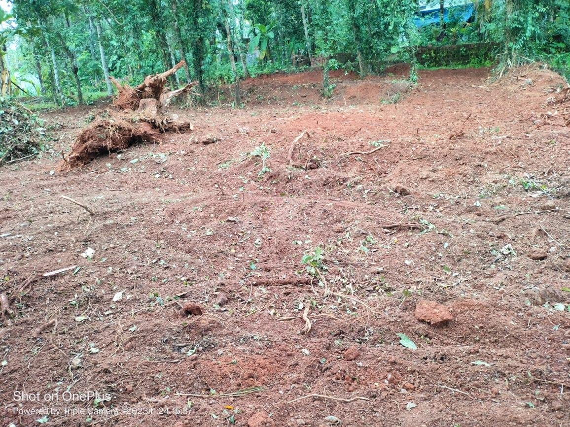 Land for sale in Pinarayi