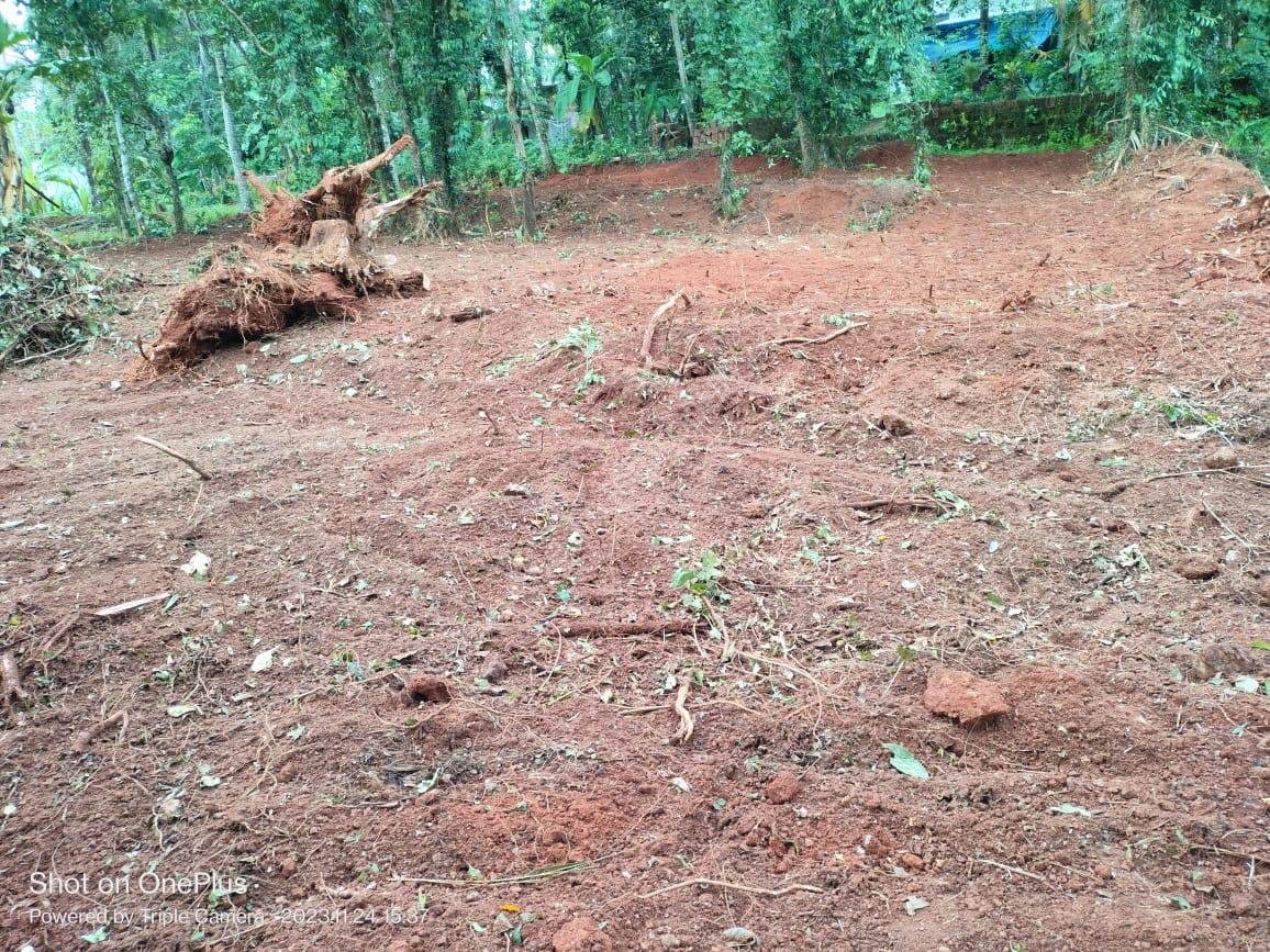 1 Land for sale in Pinarayi