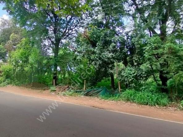 Commerical Land for sale in Athani