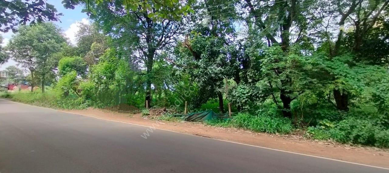 1 Commerical Land for sale in Athani