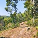 Plot For Sale Nedumangad Trivandrum