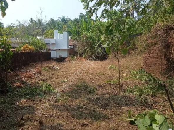 Land for sale in Padanilam Kozhikode