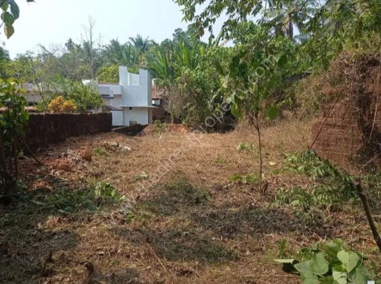 Land for sale in Padanilam Kozhikode