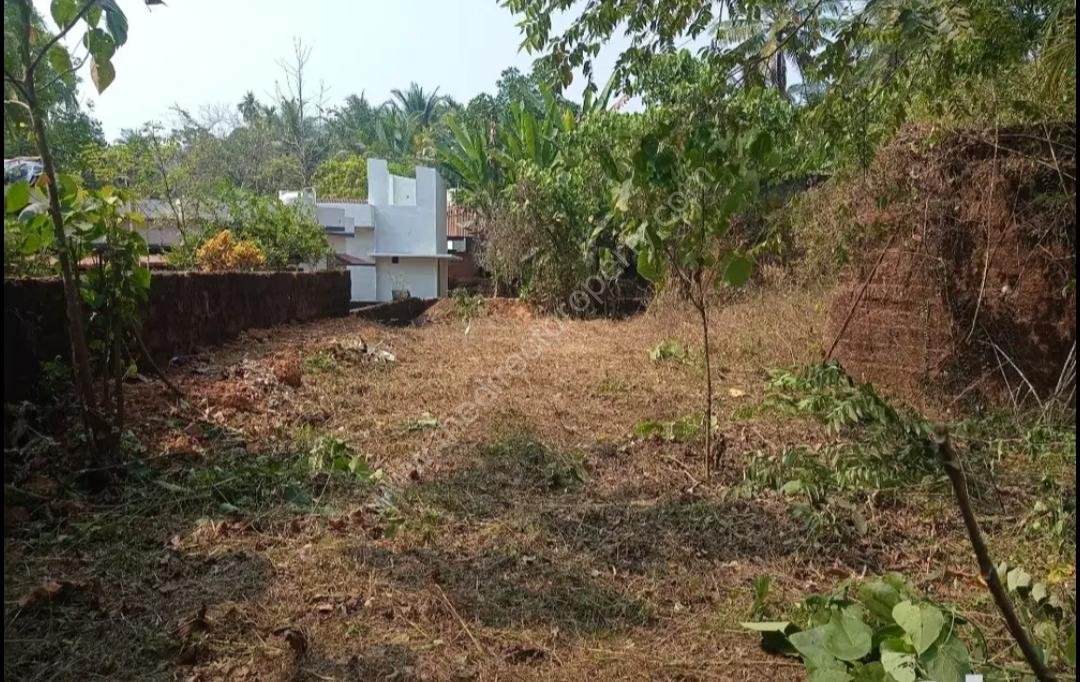 Land for sale in Padanilam Kozhikode