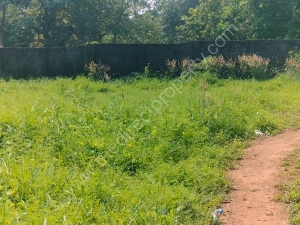 Plots 7 to 14 cent for sale in Nellikunnu Center