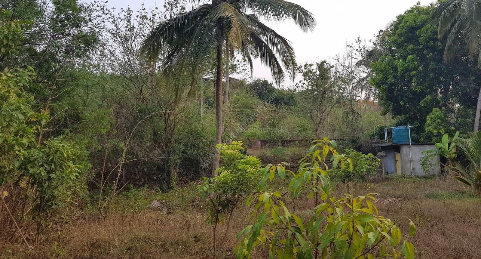 41770035_1_20190406_181949 Residential Plot Main Road